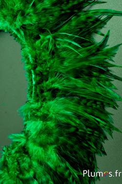 Frange coq chin roux - long. plumes 10-15 cm - vert